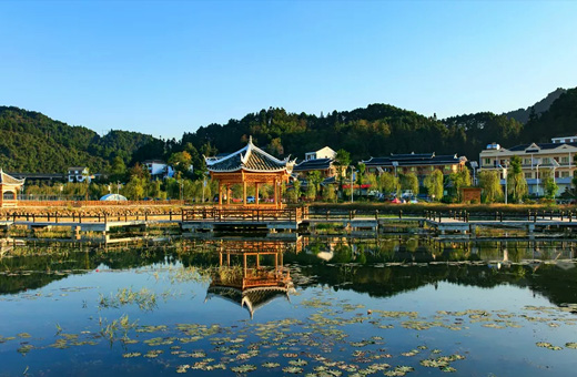 颇洞集团